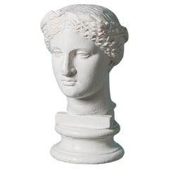 D. Brucciani (1815 – 1880) Antique Plaster Bust of Venus