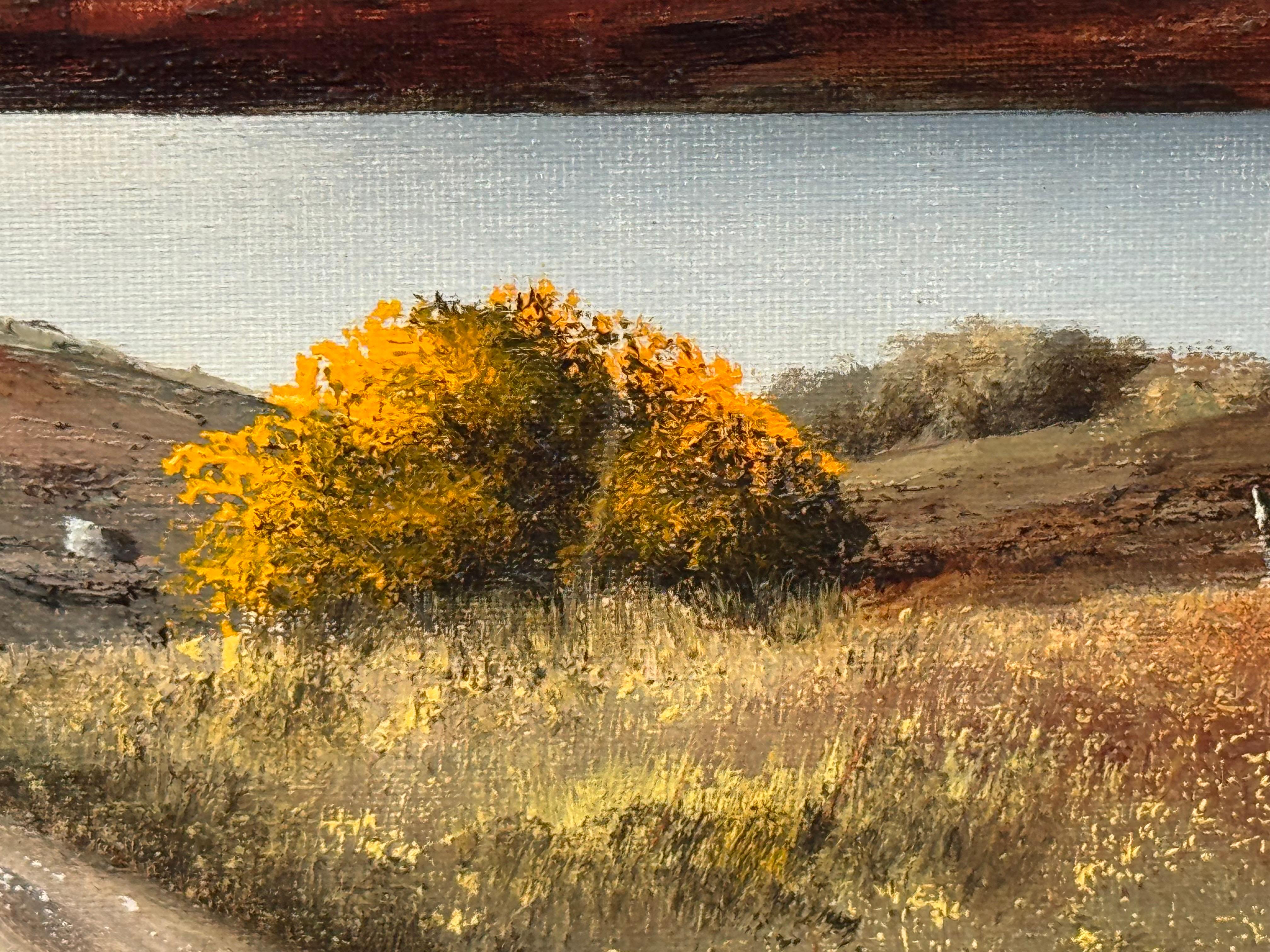 Mountain Lake Landscape of County Donegal Northern Ireland Vintage Irish Art For Sale 10