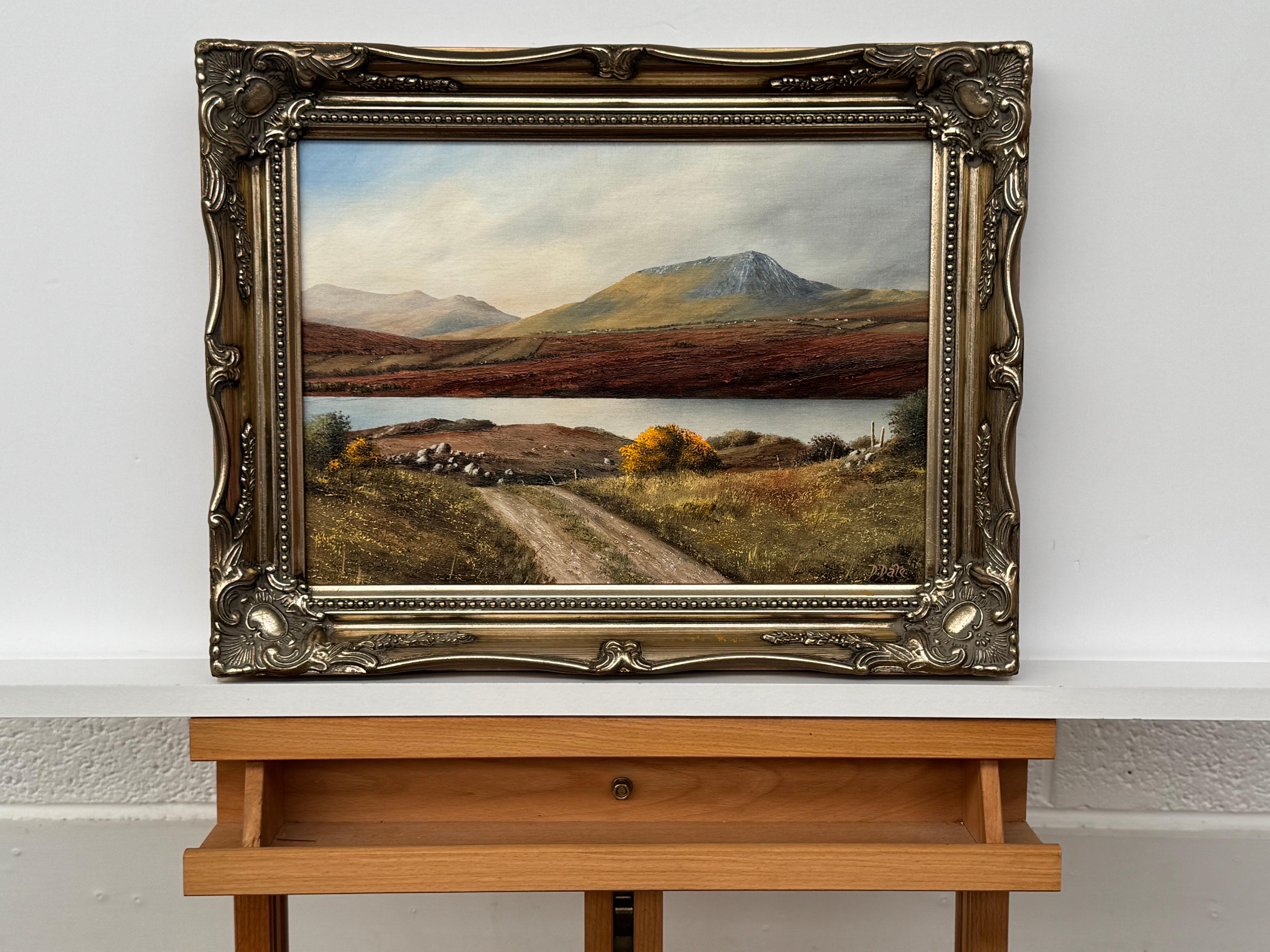 Mountain Lake Landscape of County Donegal Northern Ireland Vintage Irish Art - Brown Landscape Painting by D Dale