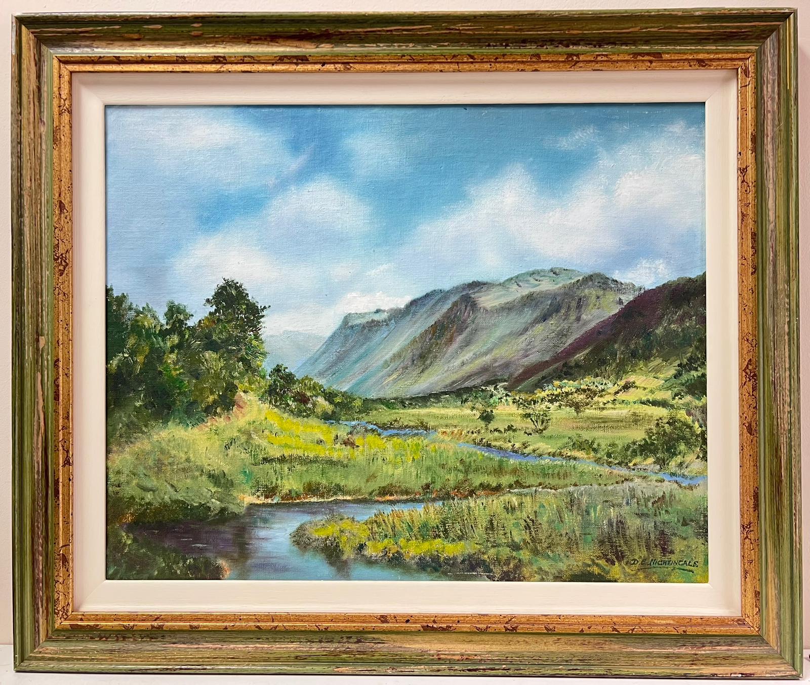 Peinture à l'huile - Paysage de rivière Afon au nord du Pays de Galles, signée Abergynolwyn - Painting de D. E. Nightingale