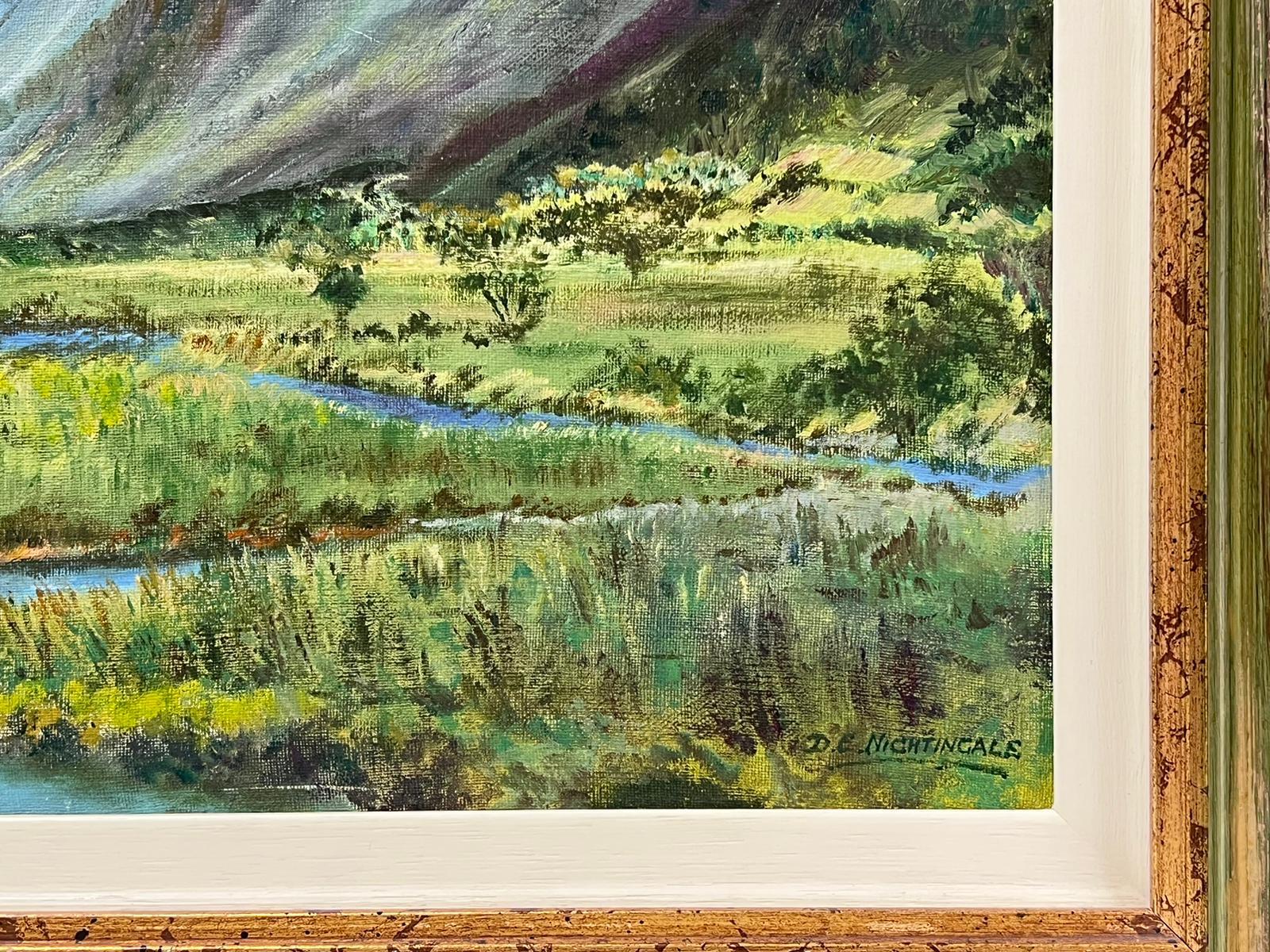Peinture à l'huile - Paysage de rivière Afon au nord du Pays de Galles, signée Abergynolwyn - Moderne Painting par D. E. Nightingale
