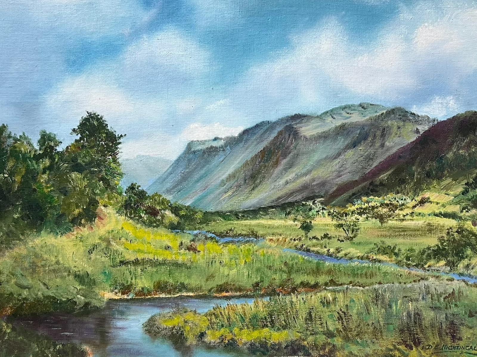 Landscape Painting di D. E. Nightingale - Paesaggio fluviale del Galles del Nord Il fiume Afon a Abergynolwyn Pittura a olio firmata