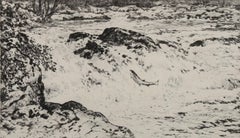 D J Robertson - Framed 20th Century Etching, Leaping Salmon