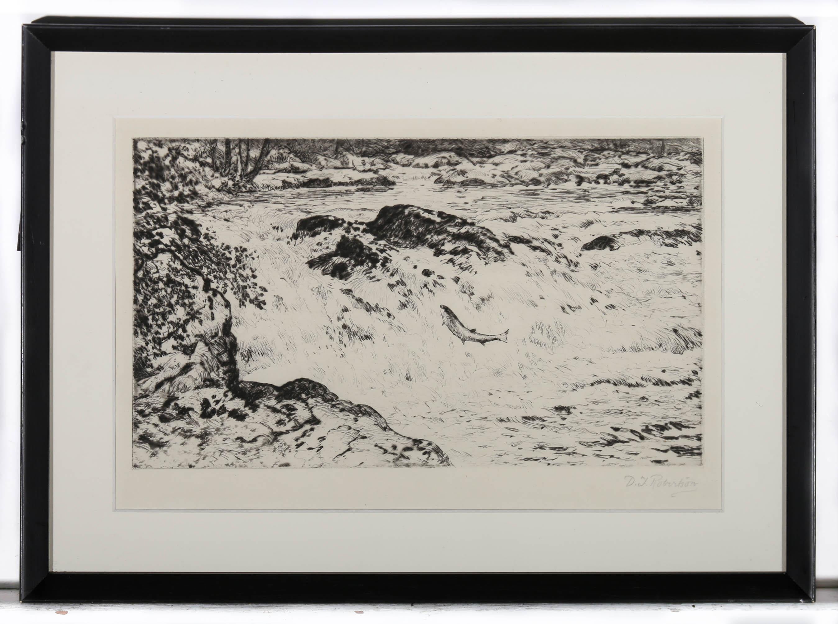 D J Robertson - Framed 20th Century Etching, Leaping Salmon For Sale 2