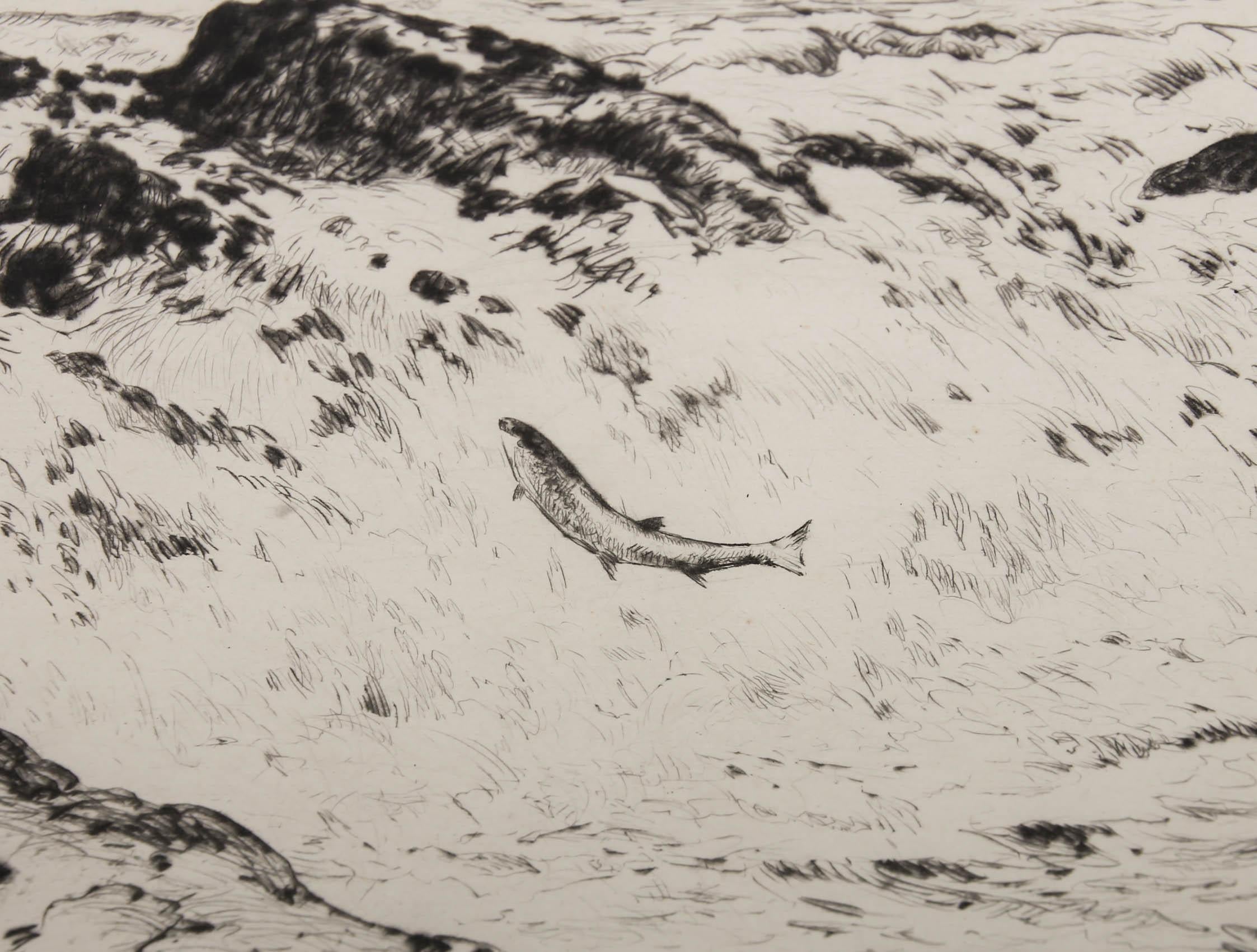 D J Robertson - Framed 20th Century Etching, Leaping Salmon For Sale 4