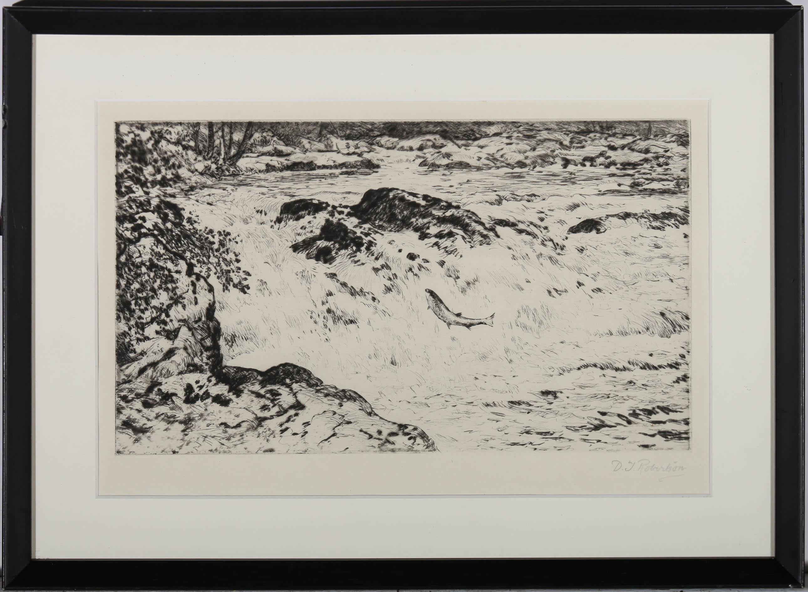 This energetic drypoint shows a salmon taking an instinctive leap up a rapid river cascade. Signed below the plate. Newly mounted in a matt black frame. On paper.
