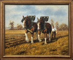 Clydesdale Horses & Farmer Ploughing a Golden Autumn Field in Rural Countryside