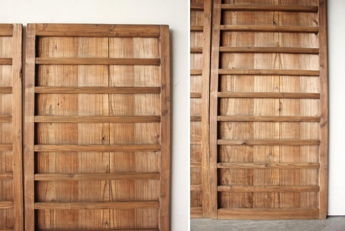 D10 Antigüedades japonesas puertas de dos tableros, herrajes, diseño de rayas de cedro en venta 1