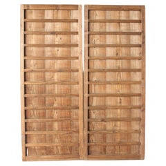 D10 Antigüedades japonesas puertas de dos tableros, herrajes, diseño de rayas de cedro