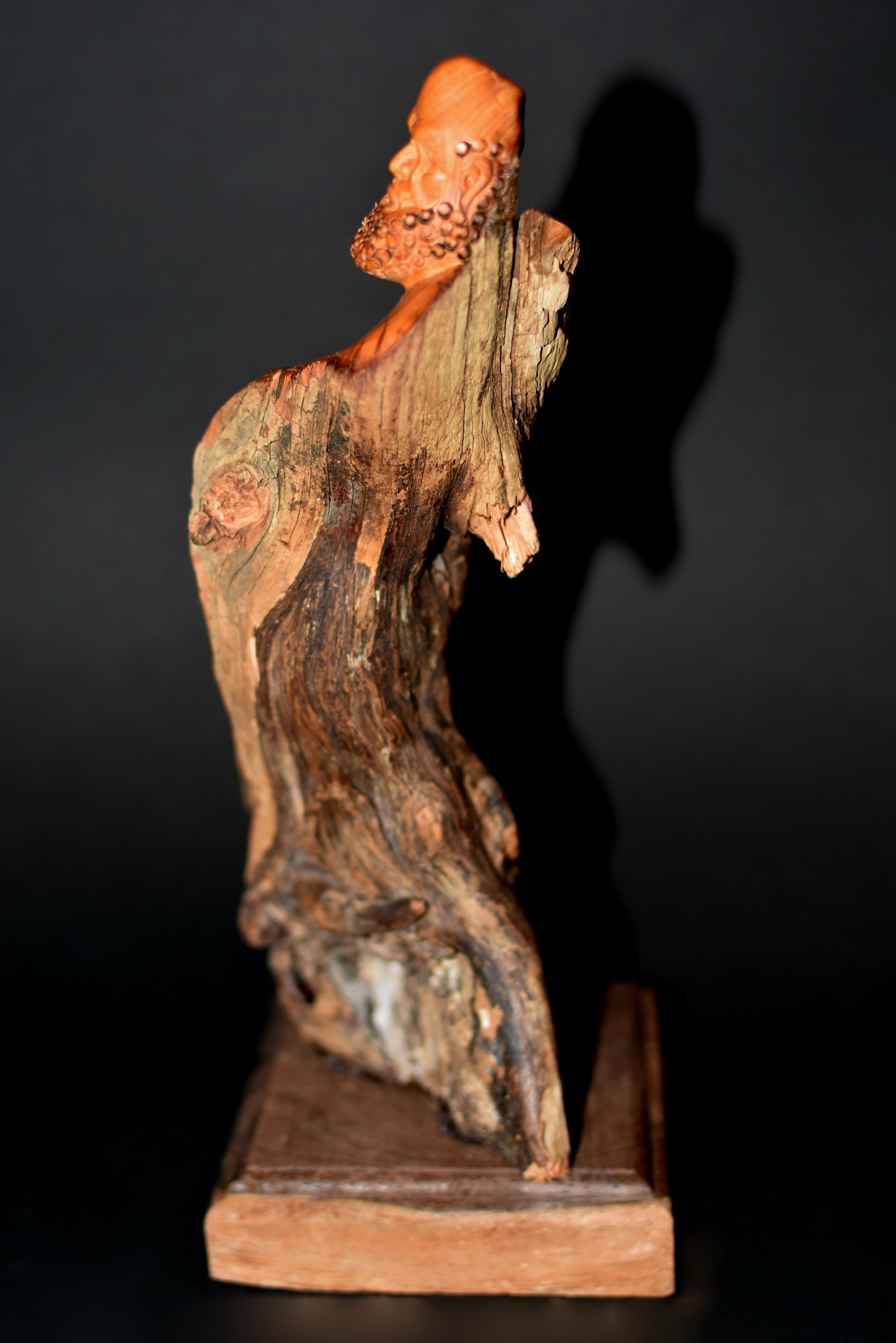 Legno Damo Bodhidharma in legno di canfora profumato