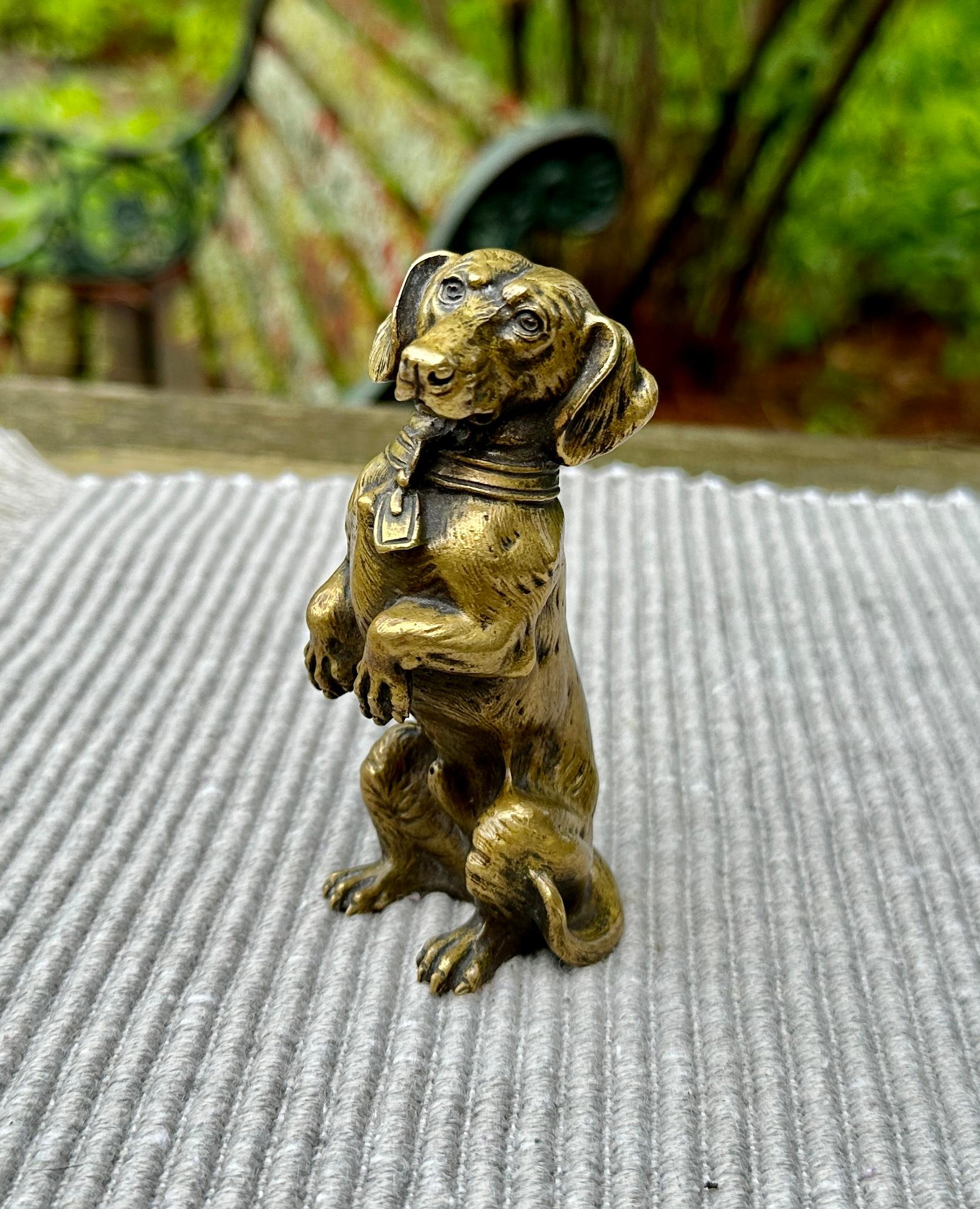 Dackel Hund Österreichisch Vienna Bronze Französisch CIRCA 1880 Miniatur Bronze 2