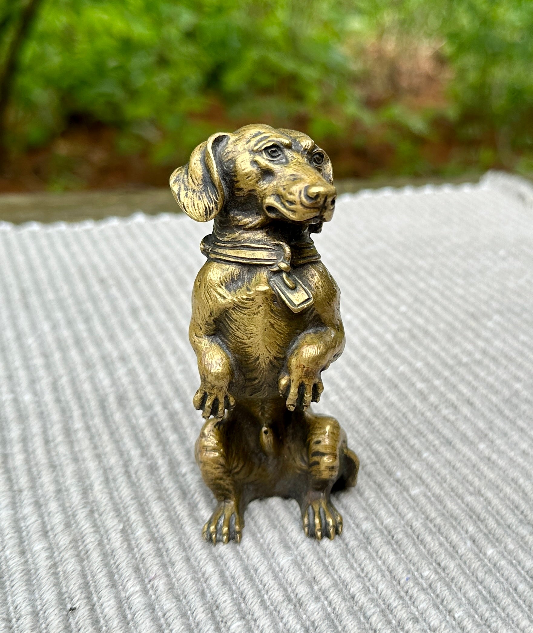 DIES IST EINE HERVORRAGENDE ANTIKE FRANZÖSISCH, DEUTSCH ODER ÖSTERREICHISCH WIENER BRONZE VON EINEM LIEBENSWERTEN DACKEL HUND.  DER AUSDRUCK AUF DEM GESICHT IST AUSSERGEWÖHNLICH.  DIE MODELLIERUNG IST GROSSARTIG.  DIES IST EINE DER BESTEN ANTIKEN