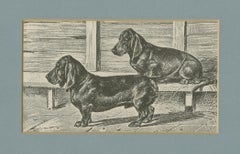 Dachshund Dog Illustration – Antique 1915 Print from Dogs of All Nations