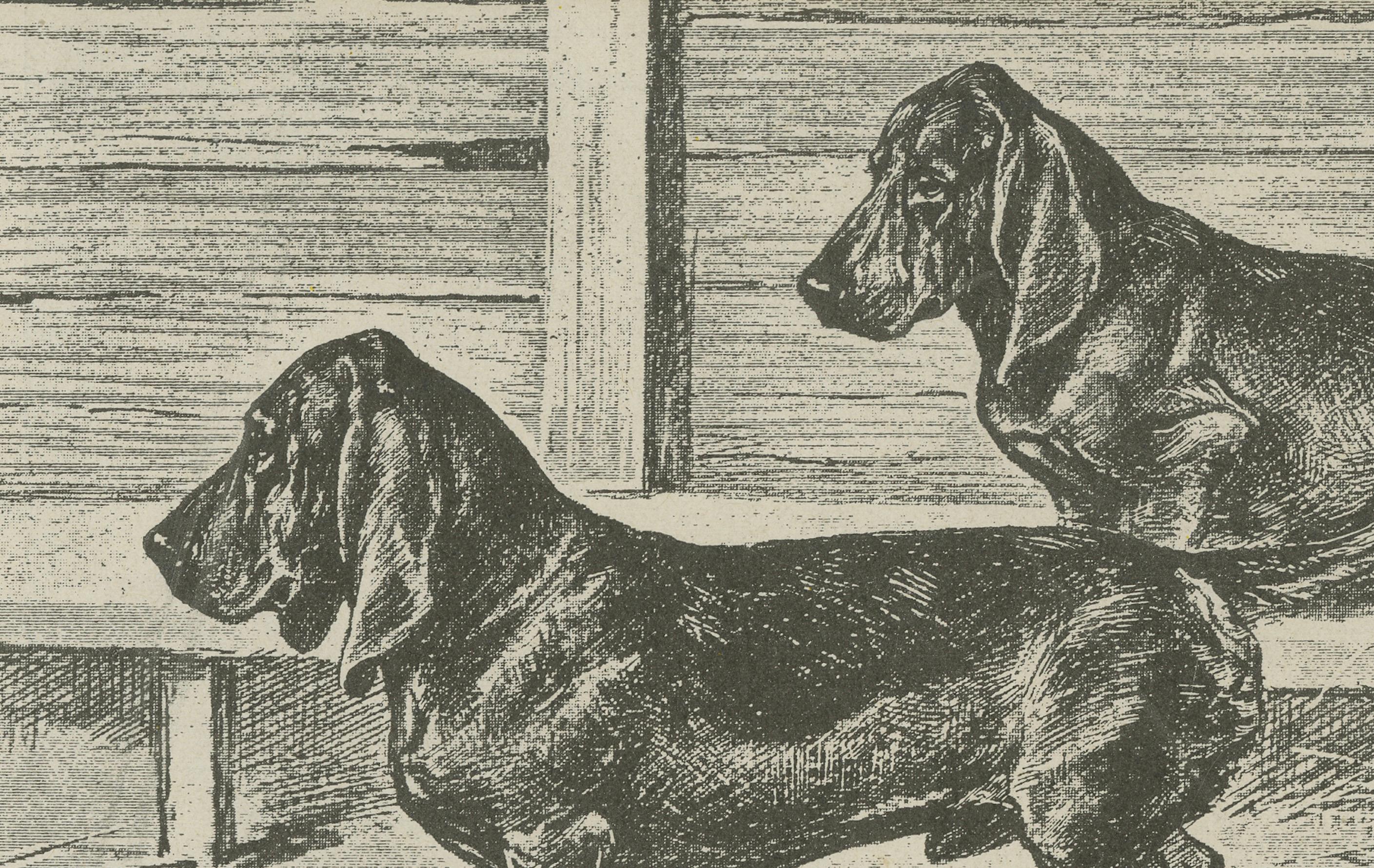 Dachshund Dog Illustration – Antique 1915 Print from Dogs of All Nations In Good Condition For Sale In Langweer, NL