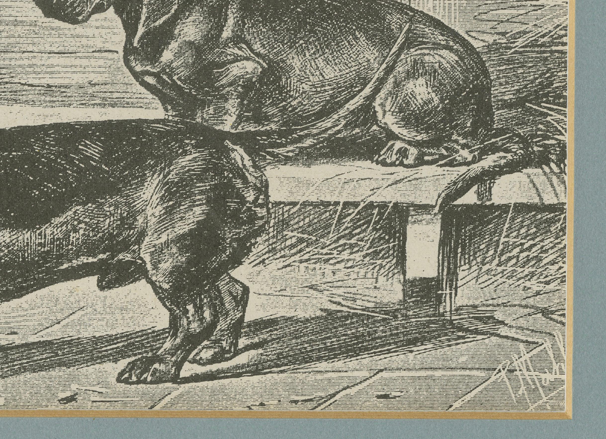 20th Century Dachshund Dog Illustration – Antique 1915 Print from Dogs of All Nations For Sale