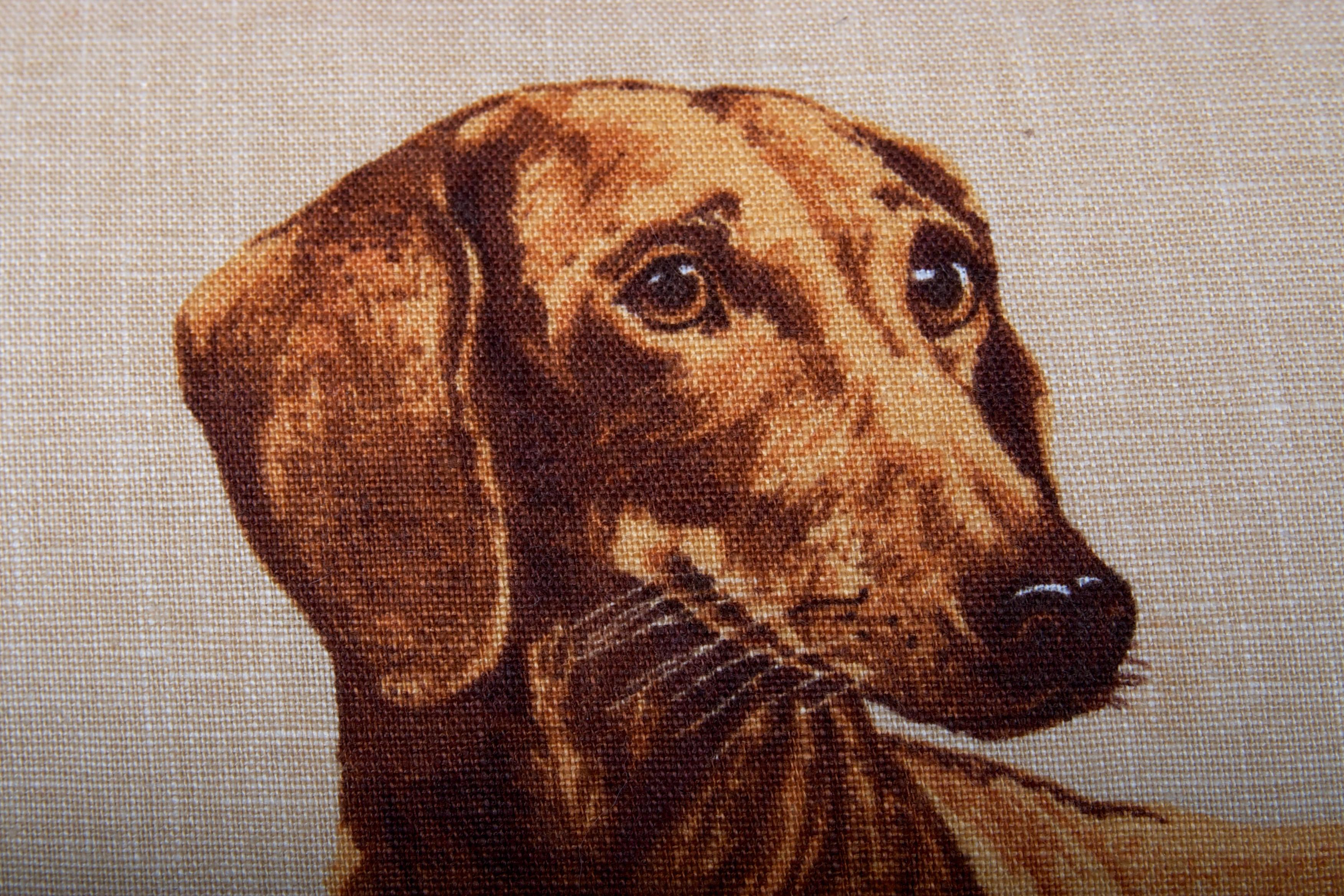 Hand-Crafted Dachshund Pillow-Down Filled