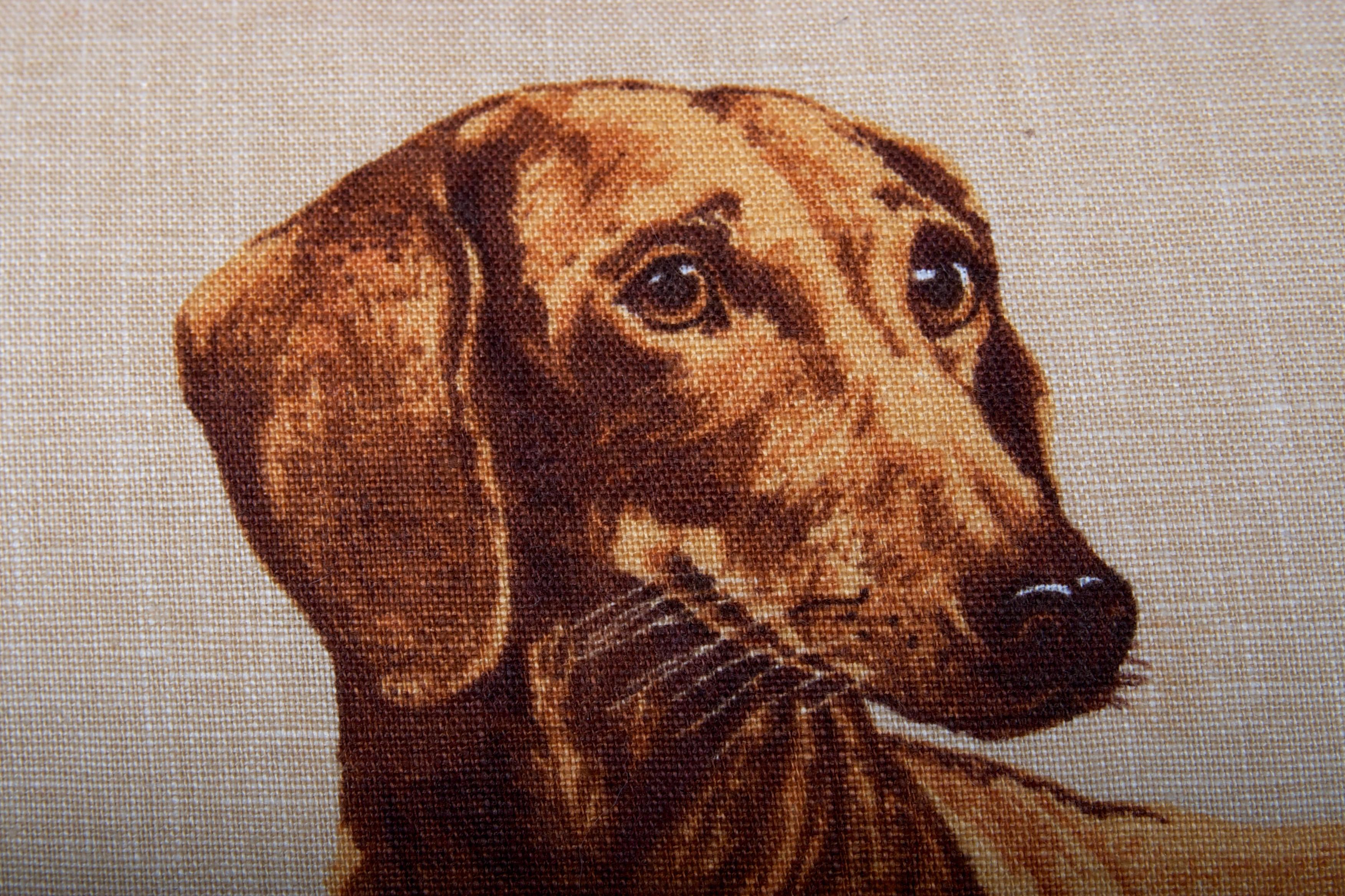 Dachshund Pillow-Down Filled In Excellent Condition In San Francisco, CA