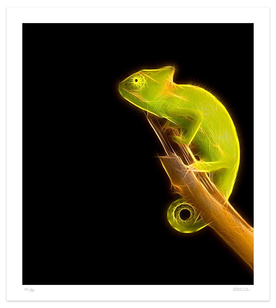 Chameleon  is an original  giclée print realized by the contemporary artist  Dadodu in 2019.

This original artwork represents a chameleon with neon lights on a black background.

Hand-signed on the lower right corner "Dadodu" and numbered on the