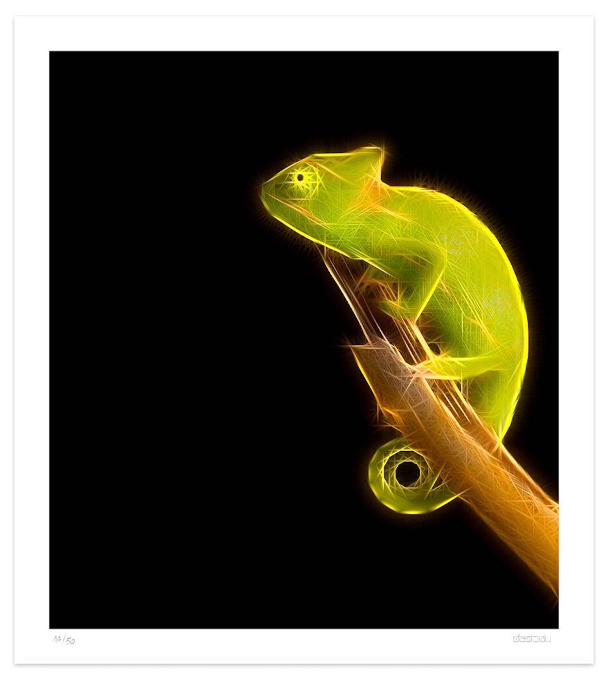 Image dimensions: 70 x 61.8 cm.

Leo is an original giclée print realized by the contemporary artist Dadodu in 2019.

This original artwork represents a chameleon with neon lights on a black background.

Hand-signed on the lower right "Dadodu" and