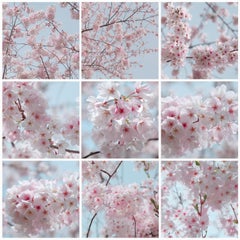 Spring Windows I, Floral Fine Art Photography on Aluminum, White Float Frame