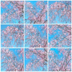 Spring Windows II, Floral Fine Art Photography on Aluminum, White Float Frame