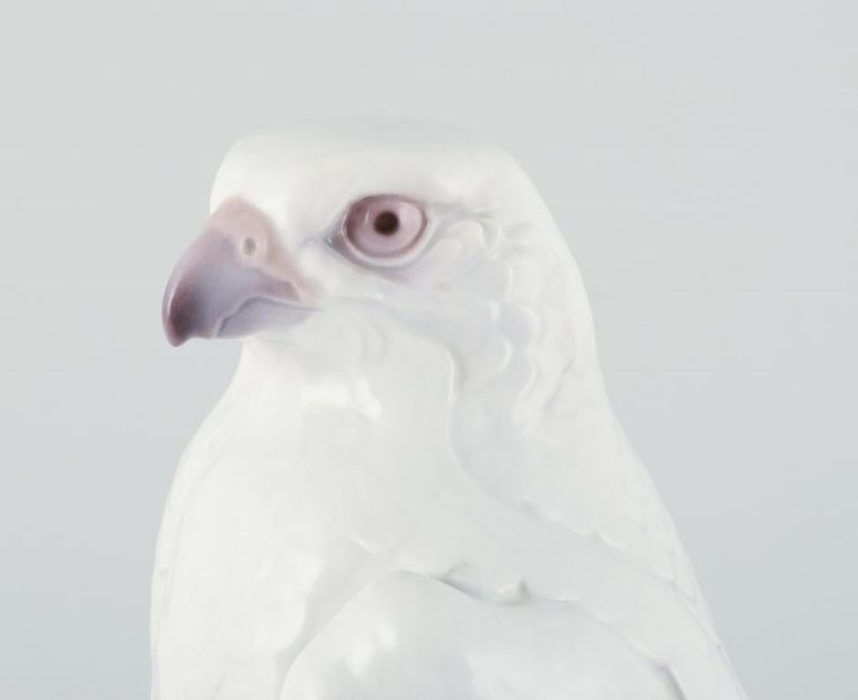 Dahl Jensen, Bing & Grøndahl. Beeindruckende Porzellanfigur eines isländischen Falken im Zustand „Hervorragend“ im Angebot in Copenhagen, DK
