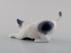 Dahl Jensen, Cat, Model Number 1013