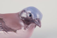 Dahl Jensen, figurine of a shrike in porcelain.  1920/30s.