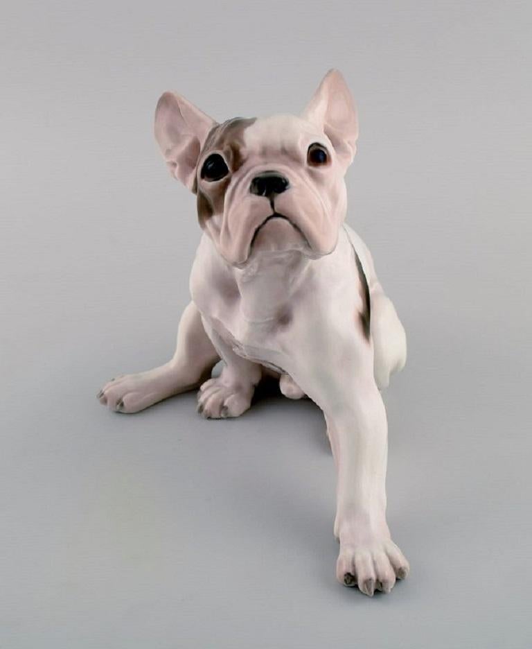 Dahl Jensen for Bing & Grøndahl. Porcelain figure. French bulldog. 1920s / 30s.
Measures: 22.5 x 18 cm.
In excellent condition.
Stamped.
1st factory quality.