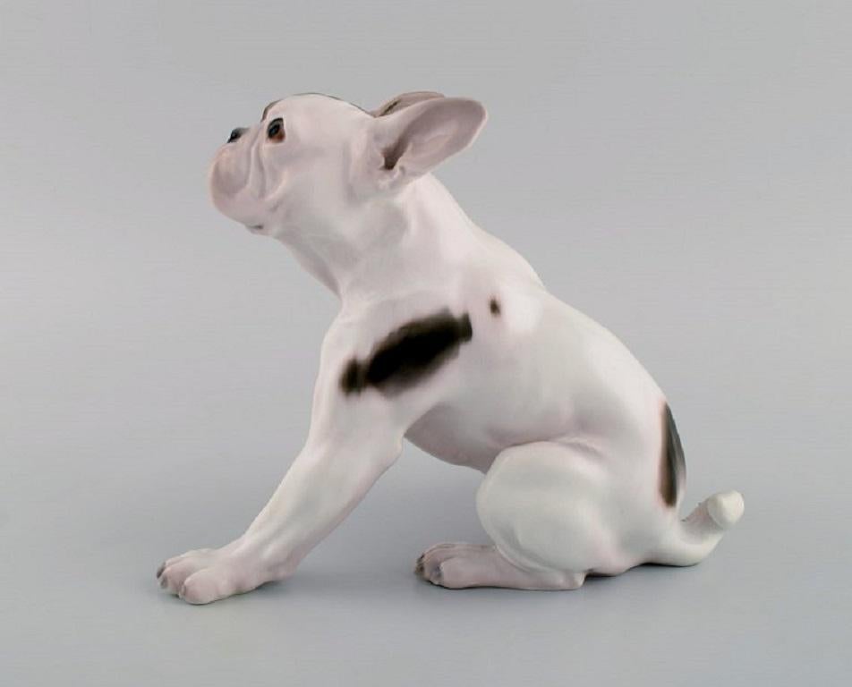 Danish Dahl Jensen for Bing & Grøndahl. Porcelain figure. French bulldog. 1920s / 30s. 