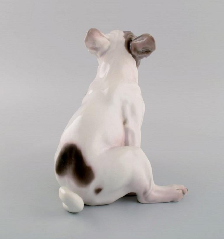 Early 20th Century Dahl Jensen for Bing & Grøndahl. Porcelain figure. French bulldog. 1920s / 30s. 