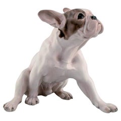 Dahl Jensen for Bing & Grøndahl. Porcelain figure. French bulldog. 1920s / 30s.