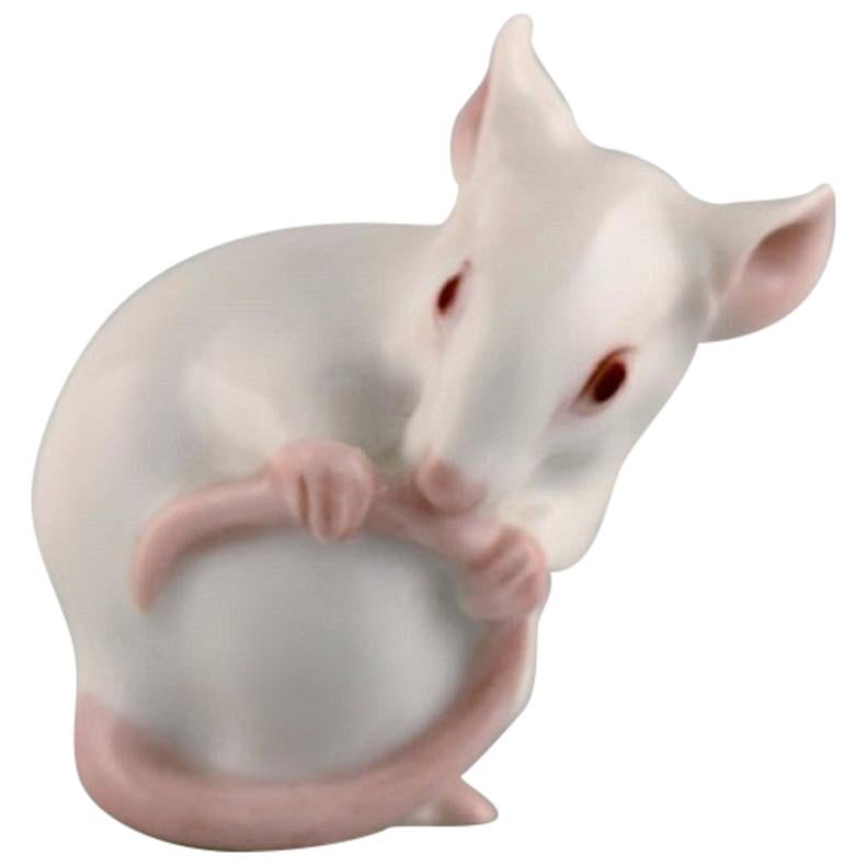 Dahl Jensen for Bing & Grøndahl, Porcelain Figure, White Mouse