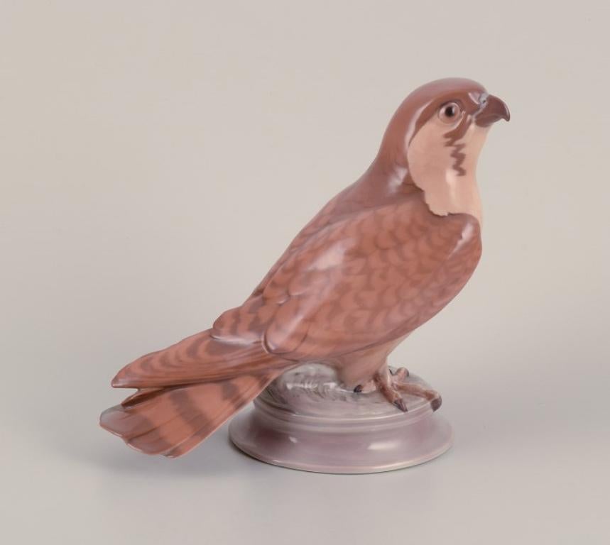 Dahl Jensen for Bing & Grøndahl. Porcelain figurine of a kestrel.
Model 1666.
Ca 1970s
Marked.
First factory quality.
In excellent condition with minor restoration on the back of the tail feathers. See photo.
Dimensions: Width 20.0 cm x Height 18.5