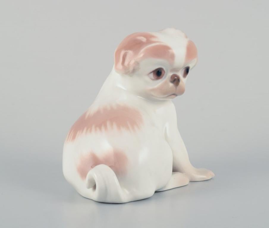 Dahl Jensen for Bing & Grøndahl, porcelain figurine of a Pekingese puppy.
Model 1631.
Approx. 1930.
Marked.
First factory quality.
In excellent condition.
Dimensions: H 8.3 cm x L 11.0 cm.