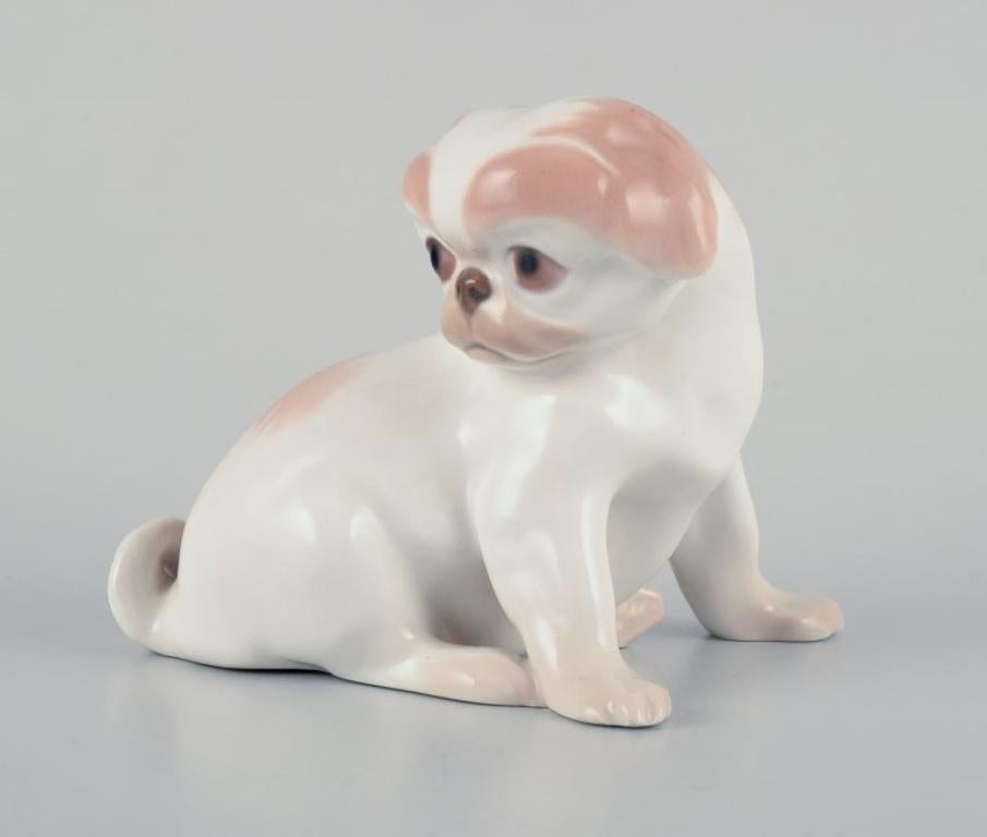 Danish Dahl Jensen for Bing & Grøndahl, porcelain figurine of a Pekingese puppy.  For Sale