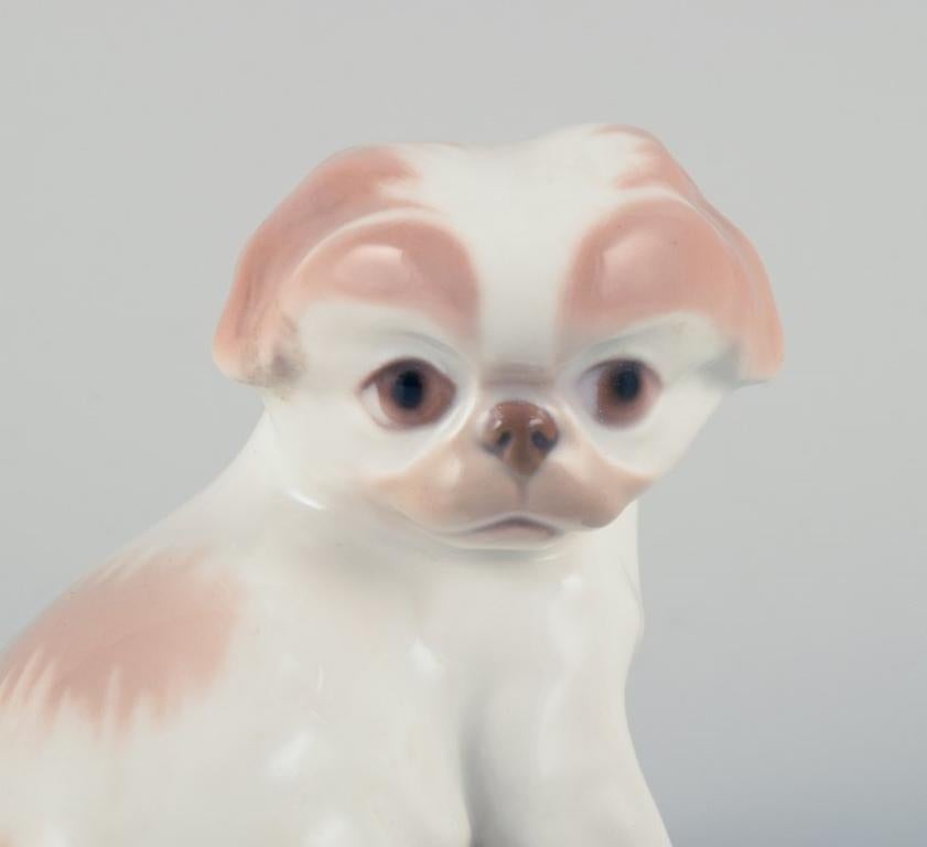 Glazed Dahl Jensen for Bing & Grøndahl, porcelain figurine of a Pekingese puppy.  For Sale