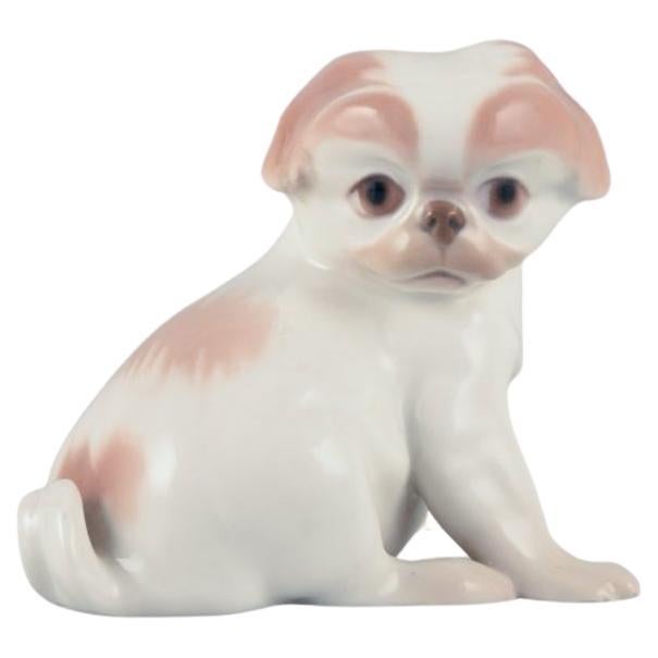 Dahl Jensen for Bing & Grøndahl, porcelain figurine of a Pekingese puppy. 