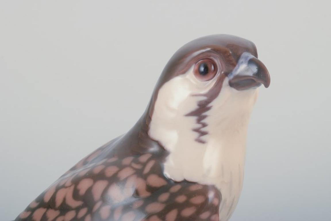 Danish Dahl Jensen for Bing & Grøndahl. Porcelain figurine of sitting peregrine falcon For Sale