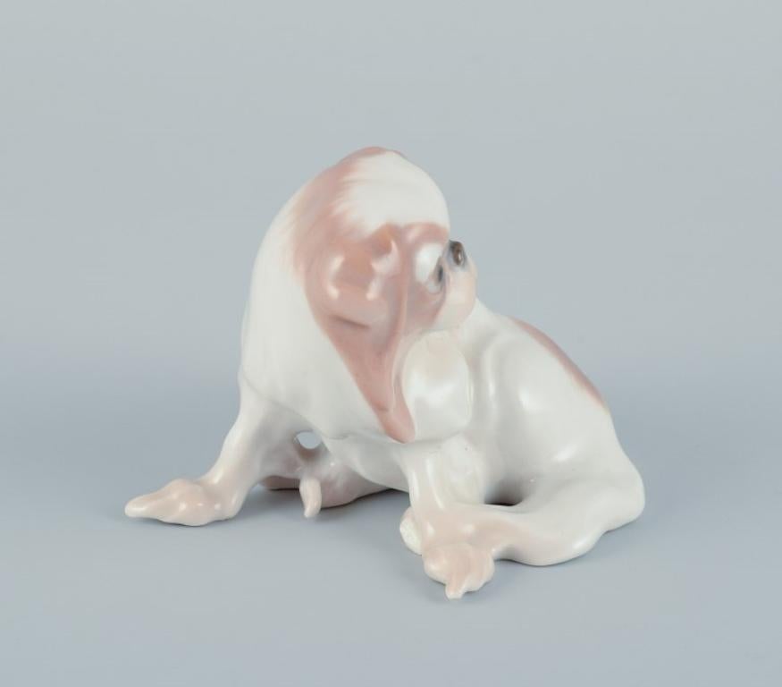 Jensen pour Bing & Grøndahl.
Petite figurine en porcelaine représentant un chien pékinois assis.
Modèle 1986.
Années 1920/1930.
Première qualité d'usine.
Parfait état.
Marqué.
Dimensions : Hauteur 6,0 cm x Longueur 7,5 cm.
