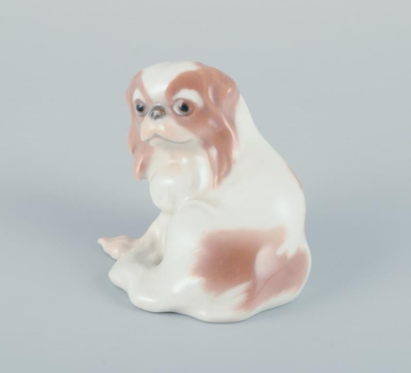 Danish Dahl-Jensen for Bing & Grøndahl. Small porcelain figurine of a Pekingese dog. For Sale