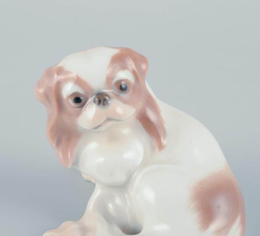 Glazed Dahl-Jensen for Bing & Grøndahl. Small porcelain figurine of a Pekingese dog. For Sale
