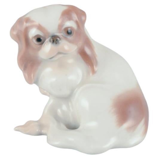 Jensen pour Bing & Grøndahl. Petite figurine en porcelaine d'un chien pékinois en vente