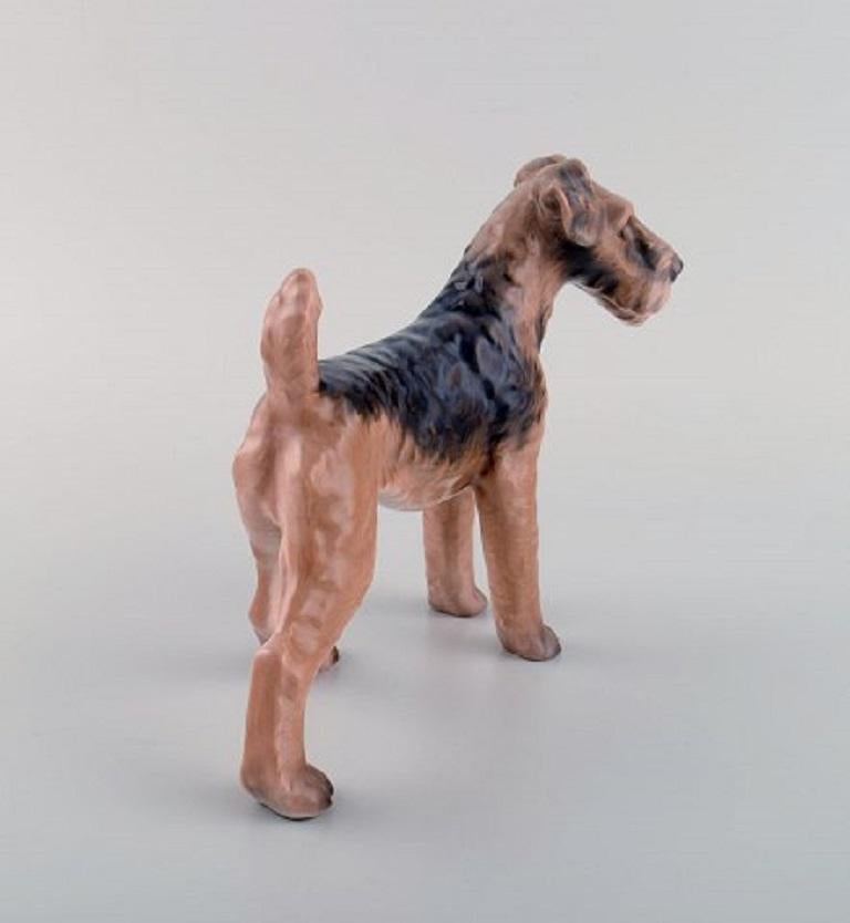 miniature airedale terrier