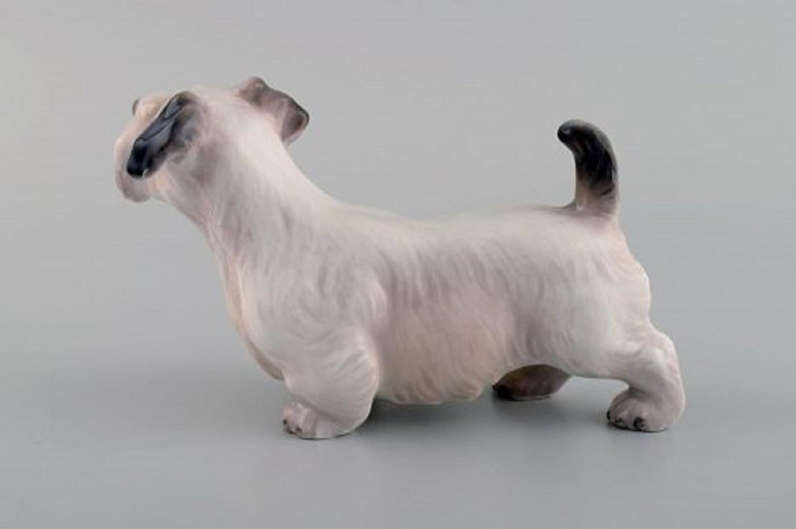 Glazed Dahl Jensen Porcelain Figure, Sealyham Terrier, 1930s-1940s