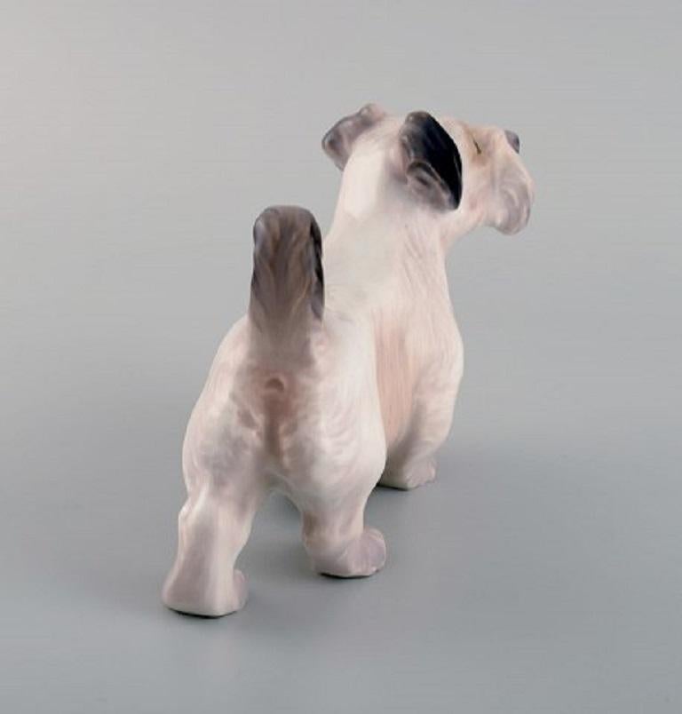 Dahl Jensen Porcelain Figure, Sealyham Terrier, 1930s-1940s In Excellent Condition In Copenhagen, DK