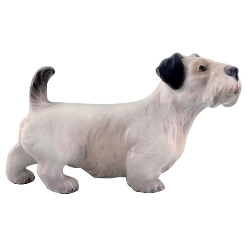 Dahl Jensen Porcelain Figure, Sealyham Terrier, 1930s-1940s