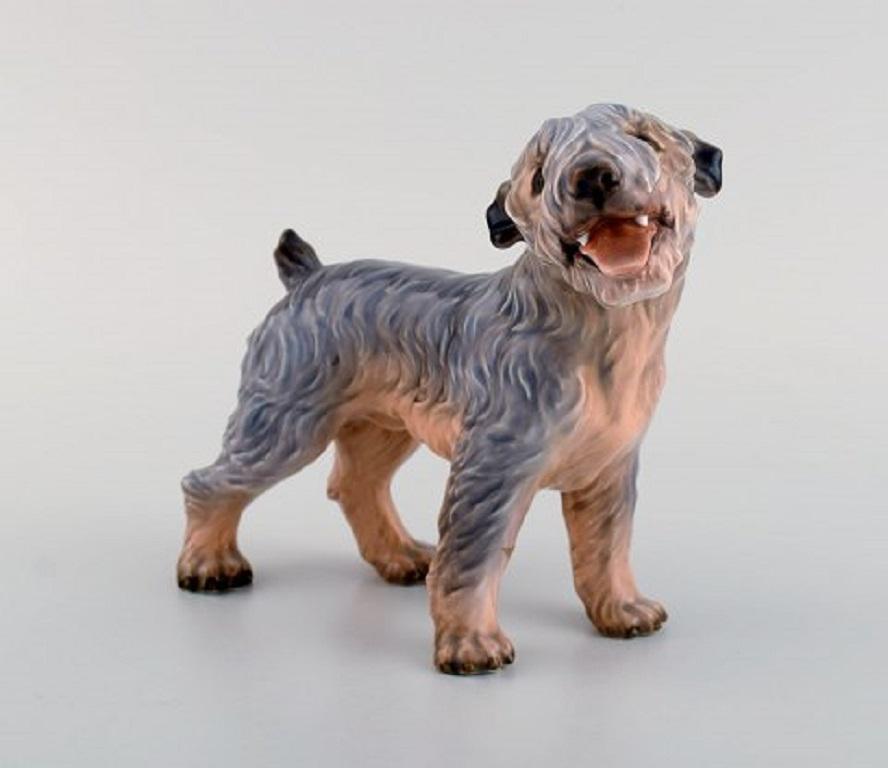 Dahl Jensen porcelain figure. Terrier. Model number 1050.
1930s-1940s.
Measures: 17 x 15.5 cm.
In excellent condition.
Stamped.
1st factory quality.
  