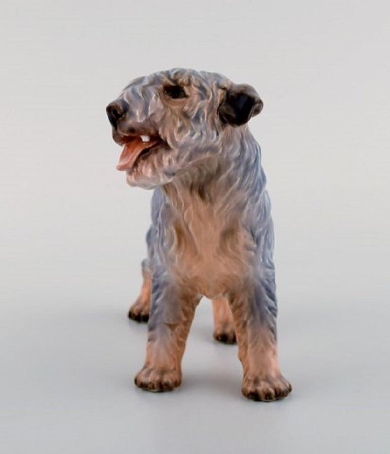 Danish Dahl Jensen Porcelain Figure, Terrier, 1930s-1940s
