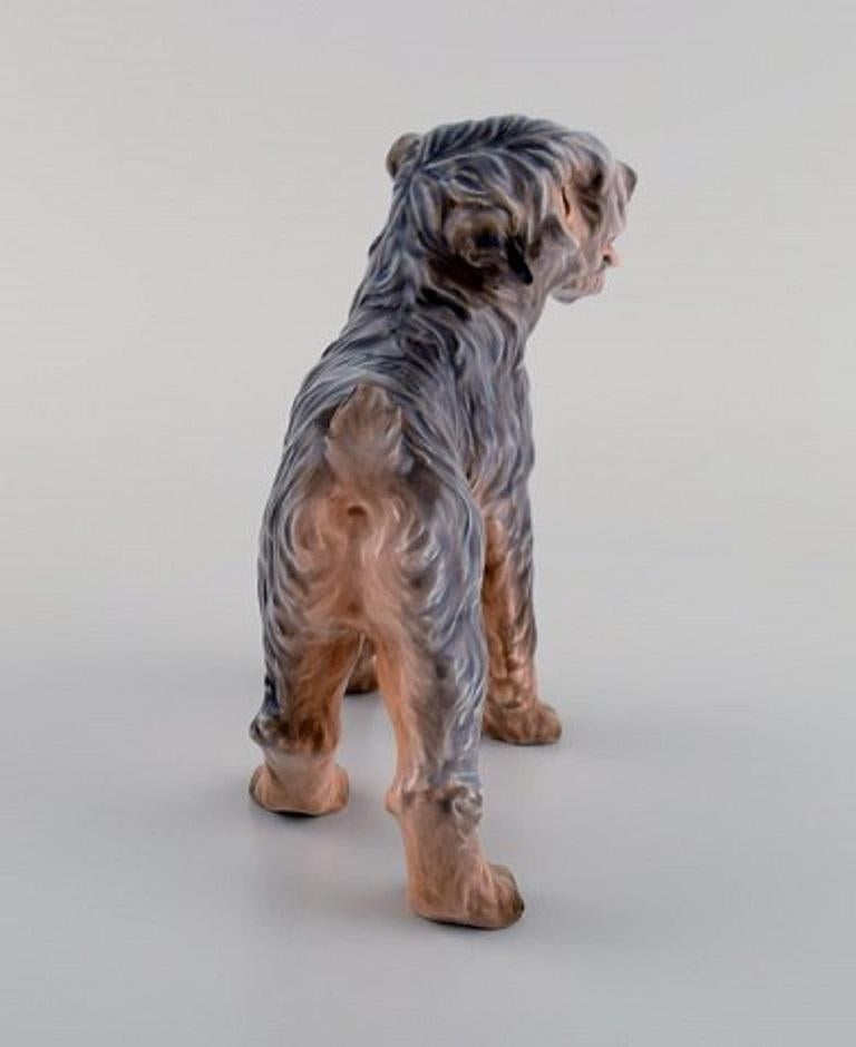 Dahl Jensen Porcelain Figure, Terrier, 1930s-1940s In Excellent Condition In Copenhagen, DK